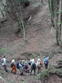 ６月１日　あおきしげるのネイチャーガイド教室～深緑のブナ林を歩く・駒ケ岳～