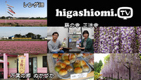 higashiomi.TV #184☆「万葉の郷ぬかづか」レンゲ畑と藤のお寺「正法寺」をリポート!