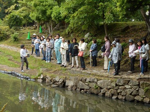 彦根の大名庭園を散策♪ 彦根の大名庭園を散策♪