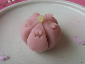 上生菓子「小桜」