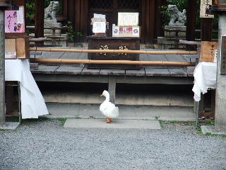 芸術が爆発だ〜!!