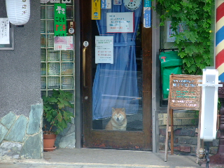 退屈や〜〜