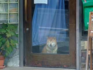 退屈や〜〜