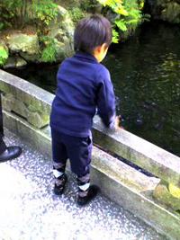 七五三参り