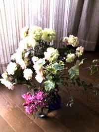 薔薇