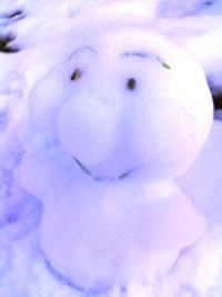 雪滑り