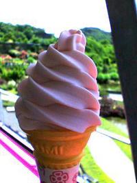 バラのパラダイスにて♪
