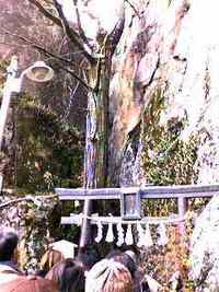 太郎坊宮へ初詣