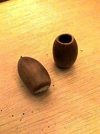 栗東自然観察の森