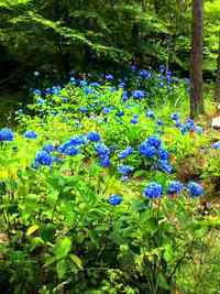 花緑公園散策