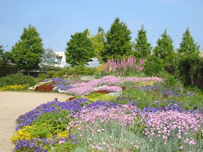 柳が崎湖畔公園のバラ