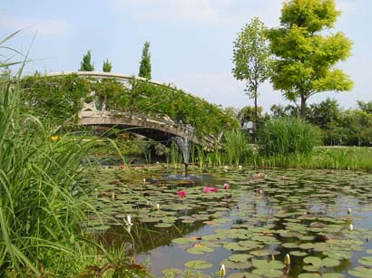 柳が崎湖畔公園のバラ