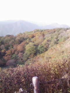 伊吹山☆