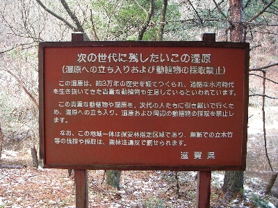 山門水源の森&長浜黒壁スクエア その2