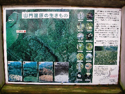 山門水源の森&長浜黒壁スクエア その2