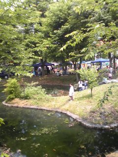 ヘムスロイド