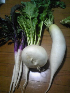 貴重なお野菜さん♪