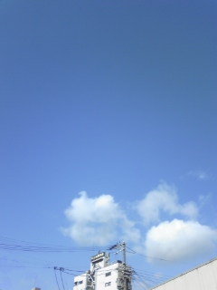 晴れてる♪