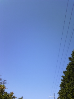 秋晴れ♪ウォーキング