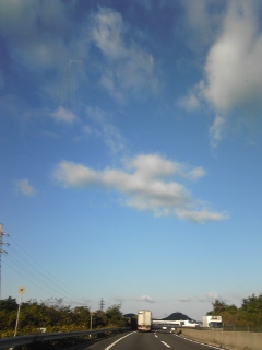 晴れたね(≧▽≦)