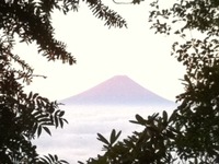 迎春　去年見た富士山♪
