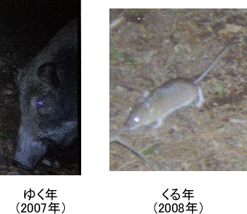 ゆく年くる年