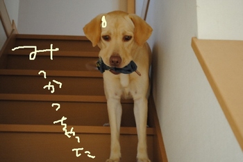 秋色裂き織りバッグ