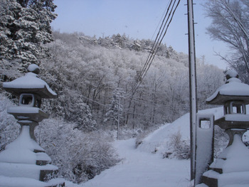 雪が積もりました。