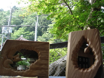 水無月展 6月12日 晴れ