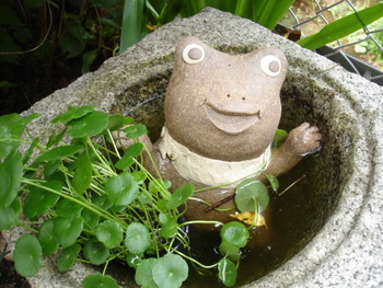 水無月展 終わってしまいました。