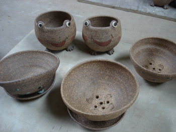 水無月展 寄せ植え&苔玉 ワークショップ