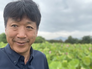 ハスが開花 ハスが開花