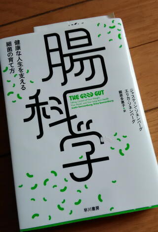 炭水化物やめてみた 炭水化物やめてみた