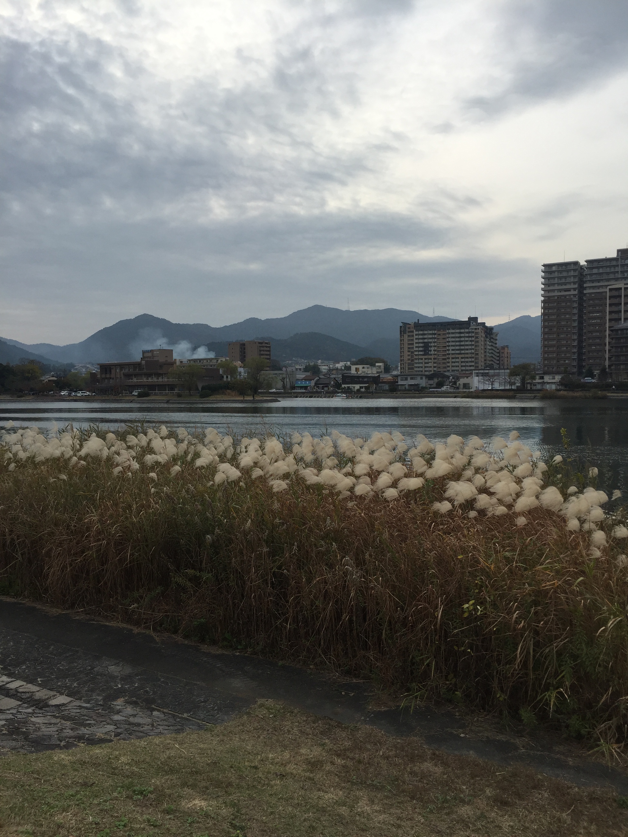 瀬田川沿いの唐橋公園 瀬田川沿いの唐橋公園