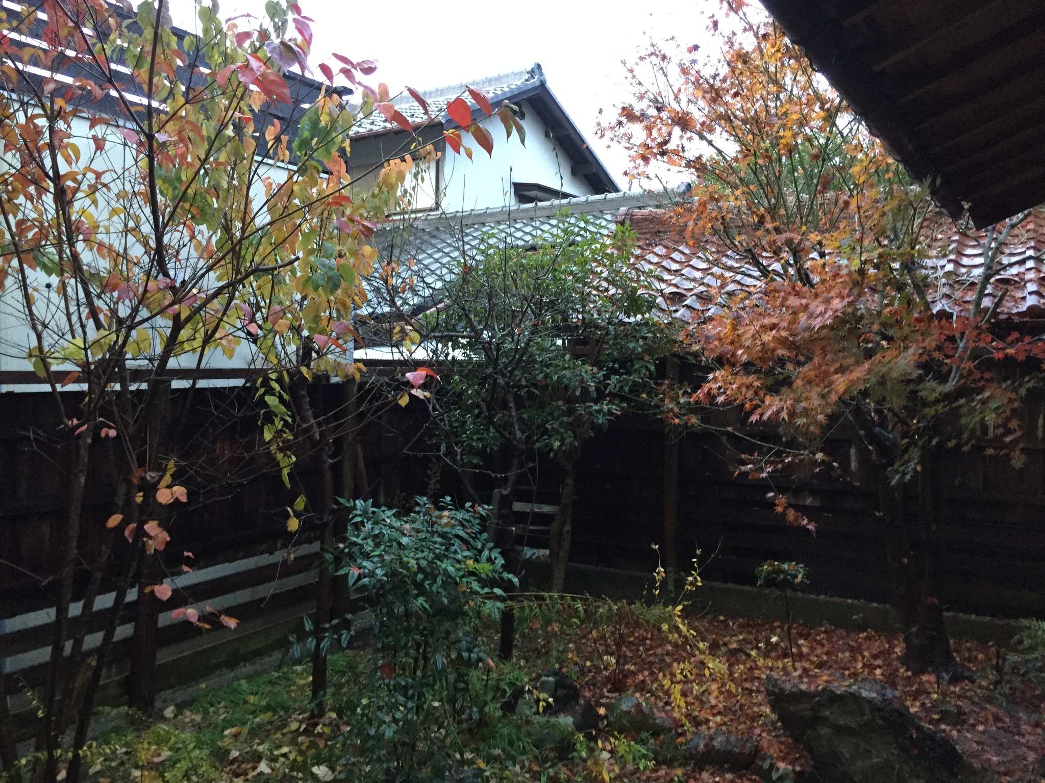 冬雨のあと 冬雨のあと