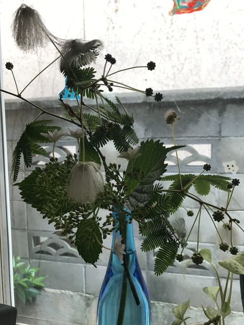 ねむの花 ねむの花