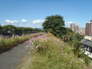 草津市ファミリーサポートセンター