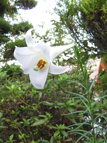 9月の出展案内