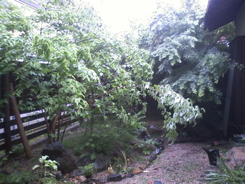 雨・・雨・・雨