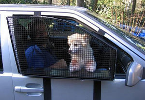 車窓から顔を出して空気を食べる犬のお話
