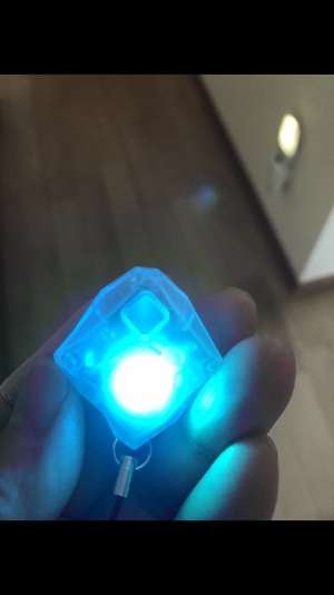 実家をチェック 実家をチェック