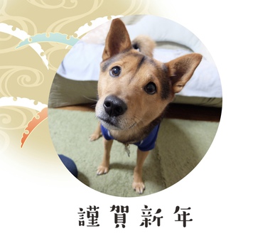 すでに始動ちう すでに始動ちう