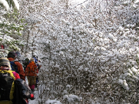 雪華が咲いた湖南アルプス(鶏冠山~竜王山)