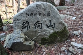 綿向山の樹氷不発 綿向山の樹氷不発