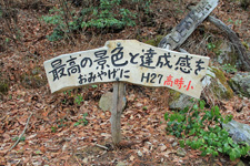 己高山の巨木「逆杉」を探しに 己高山の巨木「逆杉」を探しに
