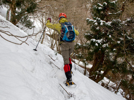 積雪時の蛇谷ヶ峰/朽木スキー場から 積雪時の蛇谷ヶ峰/朽木スキー場から