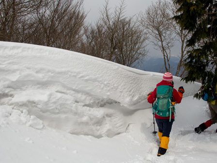 積雪時の蛇谷ヶ峰/朽木スキー場から 積雪時の蛇谷ヶ峰/朽木スキー場から