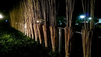 第577回 よしきりの池にて 第577回 よしきりの池にて