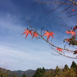 紅葉 と とび太くん~☆ 紅葉 と とび太くん~☆