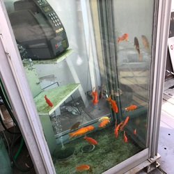 ゴールデンウィーク☆ ゴールデンウィーク☆